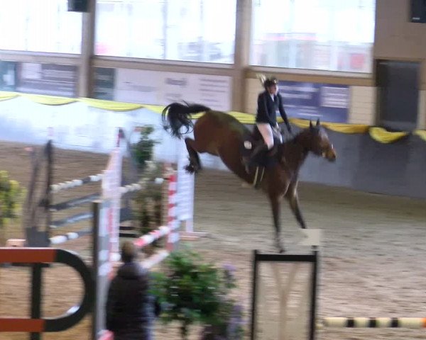 Reitturnier Sauldorf-Boll 2024