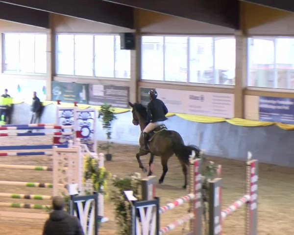 Reitturnier Sauldorf-Boll 2024