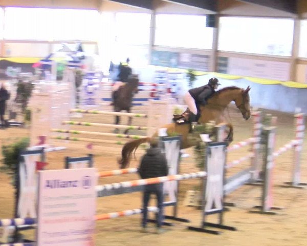 Reitturnier Sauldorf-Boll 2024