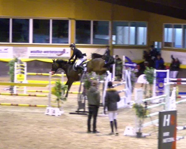 Reitturnier Sauldorf-Boll 2024