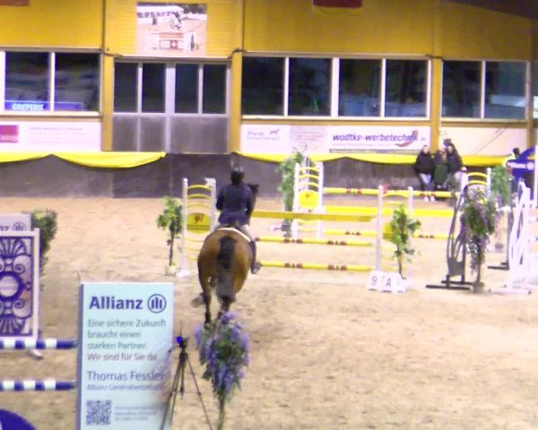 Reitturnier Sauldorf-Boll 2024