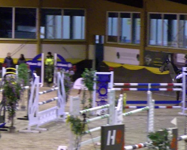 Reitturnier Sauldorf-Boll 2024