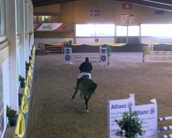 Reitturnier Sauldorf-Boll 2024
