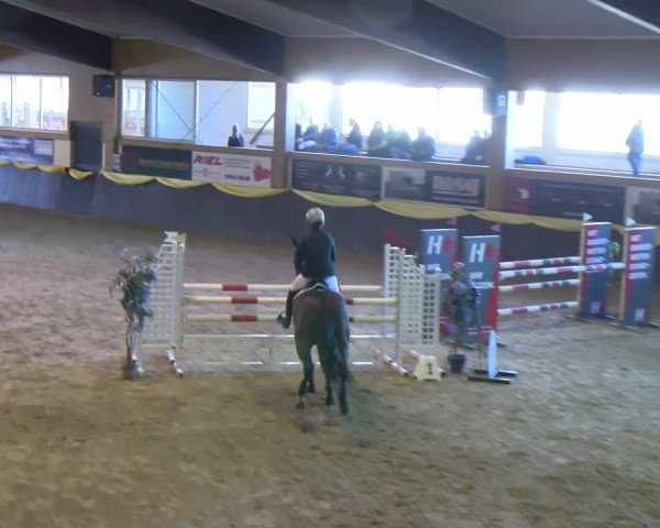 Reitturnier Sauldorf-Boll 2024
