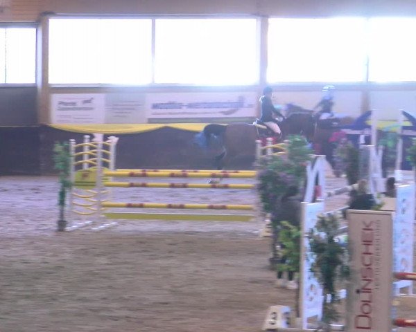 Reitturnier Sauldorf-Boll 2024