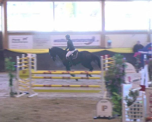 Reitturnier Sauldorf-Boll 2024