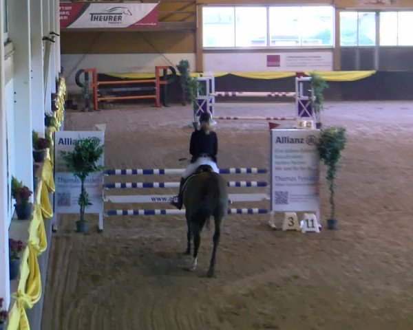 Reitturnier Sauldorf-Boll 2024