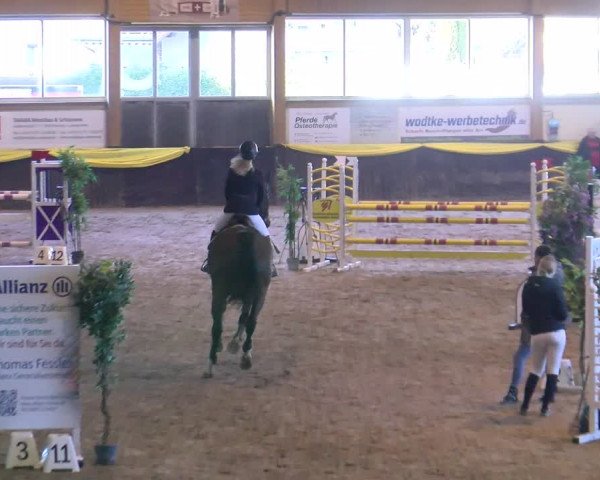 Reitturnier Sauldorf-Boll 2024