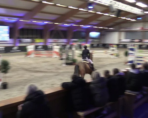 Reitturnier Goch-Asperden 2024