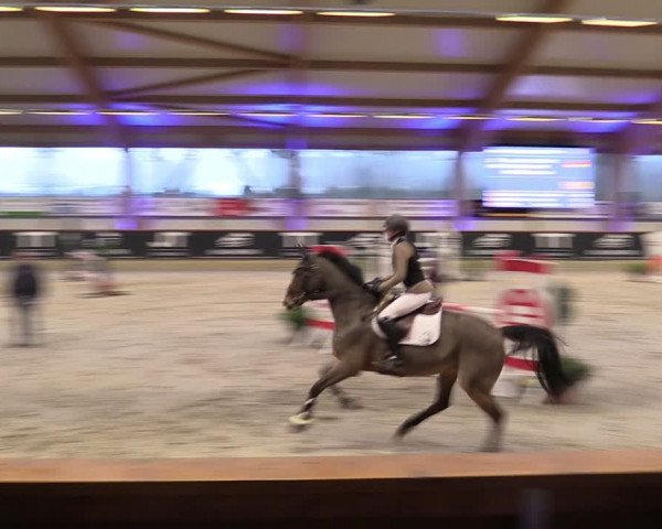Reitturnier Goch-Asperden 2024