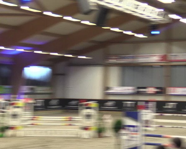 Reitturnier Goch-Asperden 2024