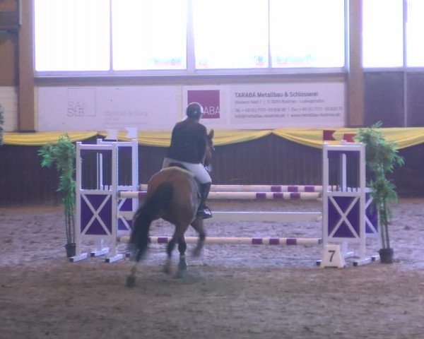 Reitturnier Sauldorf-Boll 2024