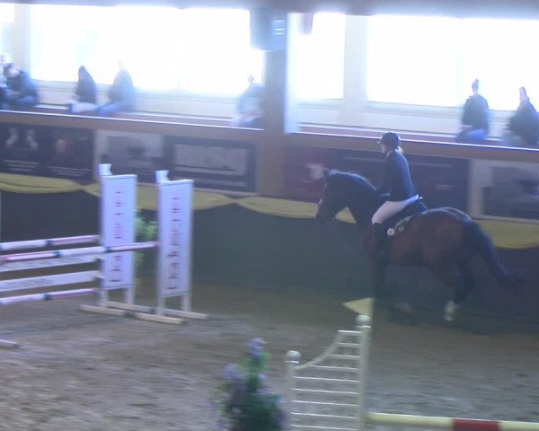 Reitturnier Sauldorf-Boll 2024