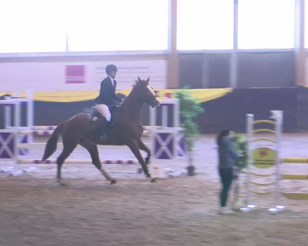 Reitturnier Sauldorf-Boll 2024
