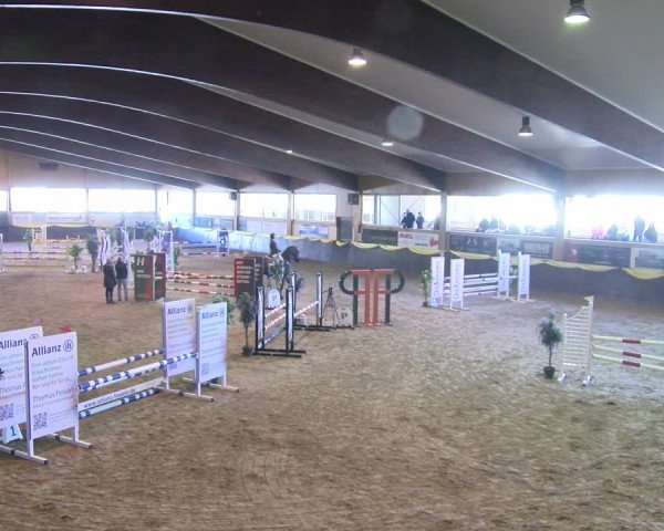 Reitturnier Sauldorf-Boll 2024