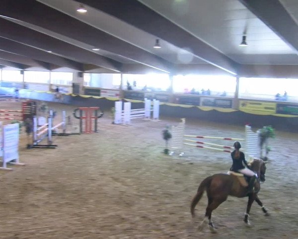 Reitturnier Sauldorf-Boll 2024