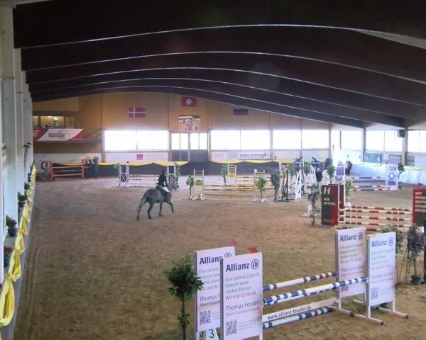 Reitturnier Sauldorf-Boll 2024