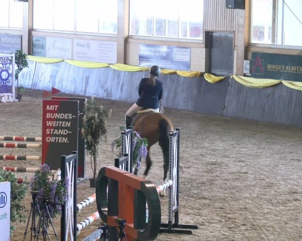Reitturnier Sauldorf-Boll 2024