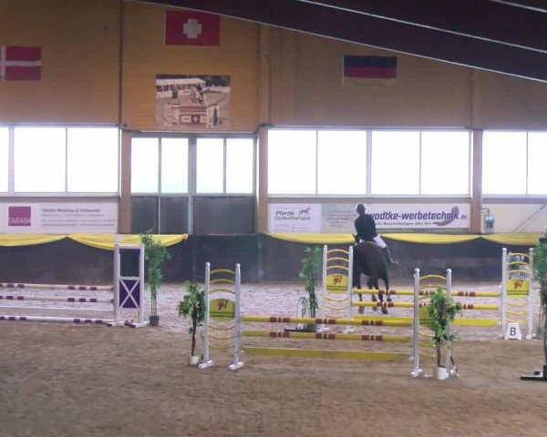 Reitturnier Sauldorf-Boll 2024