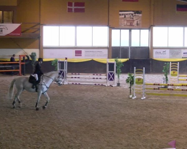 Reitturnier Sauldorf-Boll 2024