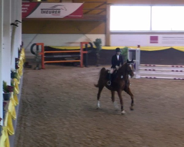 Reitturnier Sauldorf-Boll 2024
