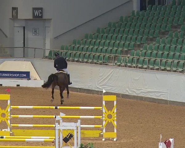 Reitturnier Kreuth/Opf. 2024