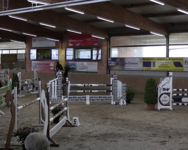 Reitturnier Altenberge 2024