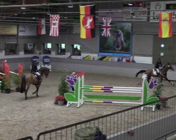 Reitturnier Luhmühlen 2024