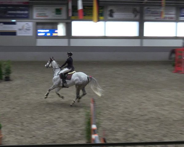 Reitturnier Luhmühlen 2024