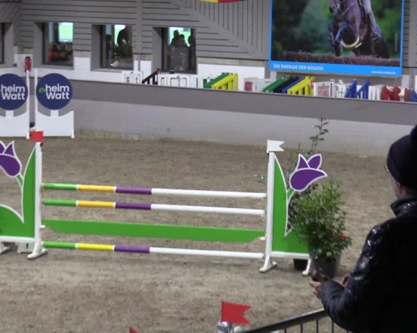 Reitturnier Luhmühlen 2024