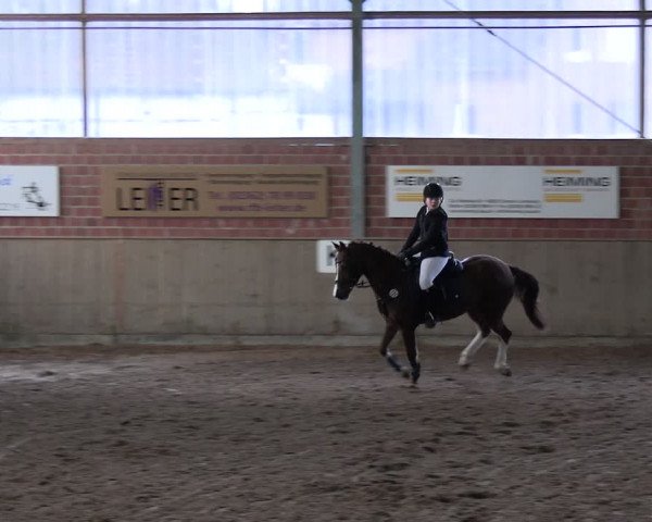 Reitturnier Lembeck 2024