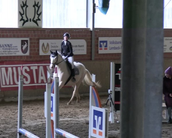 Reitturnier Lembeck 2024