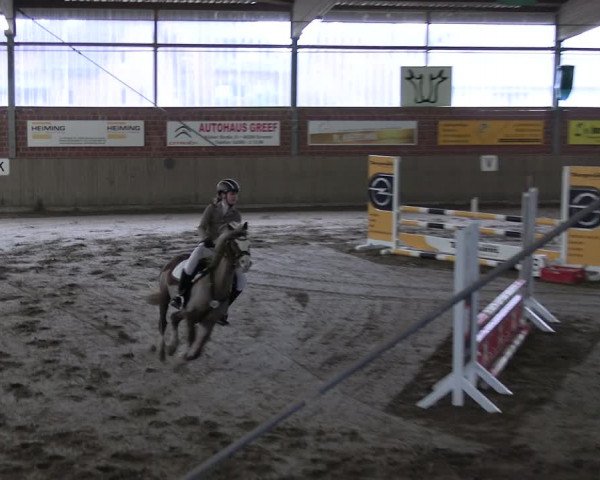 Reitturnier Lembeck 2024