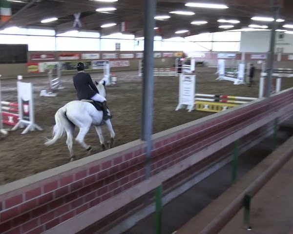 Reitturnier Lembeck 2024