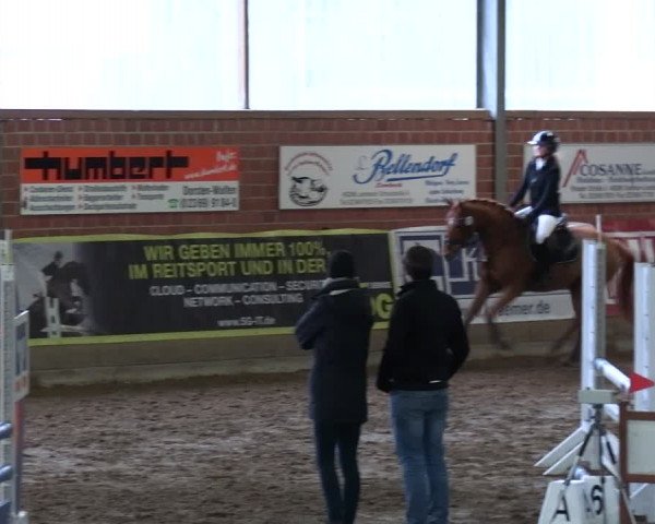 Reitturnier Lembeck 2024
