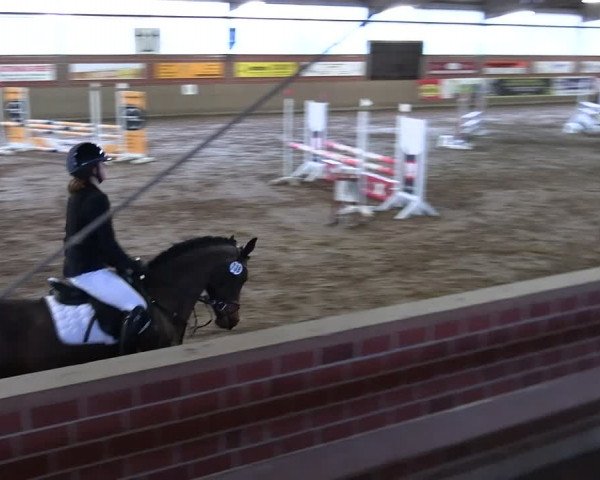 Reitturnier Lembeck 2024