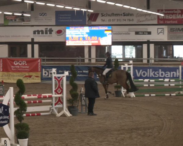 Reitturnier Vlotho-Exter 2024