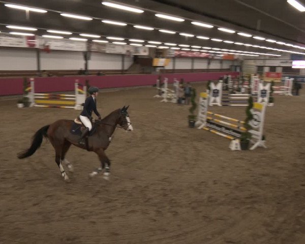 Reitturnier Vlotho-Exter 2024