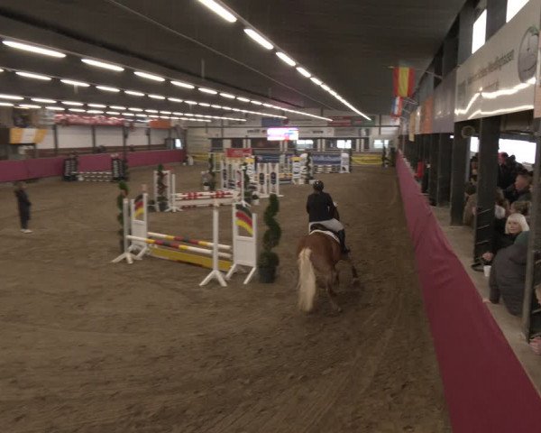 Reitturnier Vlotho-Exter 2024