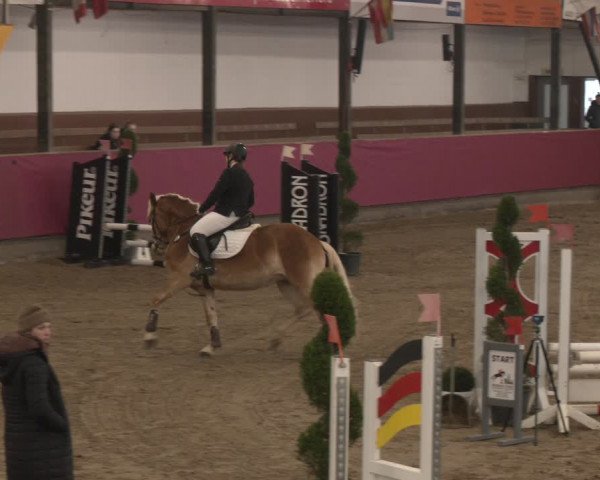 Reitturnier Vlotho-Exter 2024