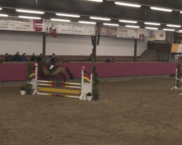 Reitturnier Vlotho-Exter 2024