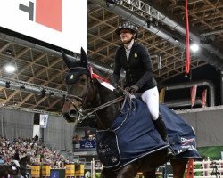 jumper Jarizona van de Muggenhoek (anglo european sporthorse, 2014, from Arizona)