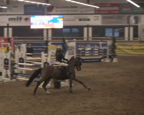 Reitturnier Vlotho-Exter 2024