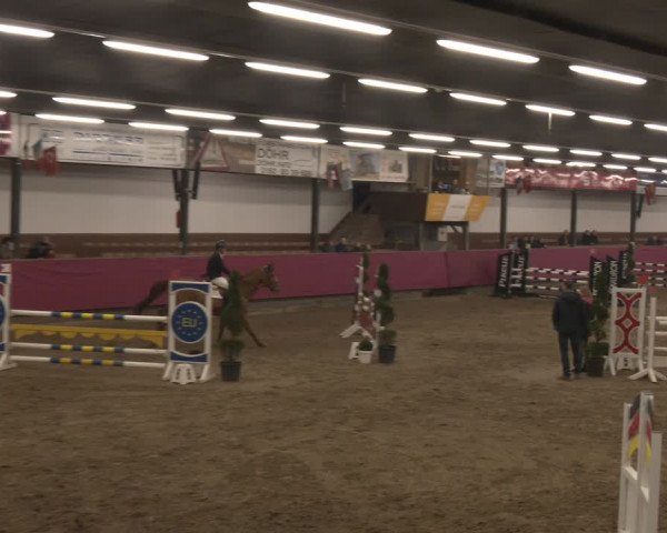 Reitturnier Vlotho-Exter 2024