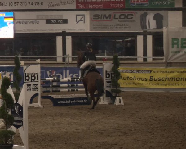 Reitturnier Vlotho-Exter 2024