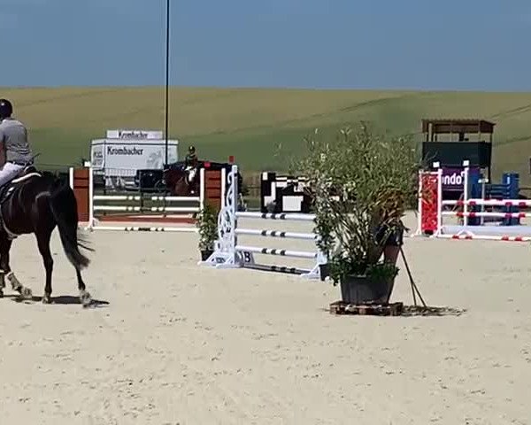 Reitturnier Römhild 2022