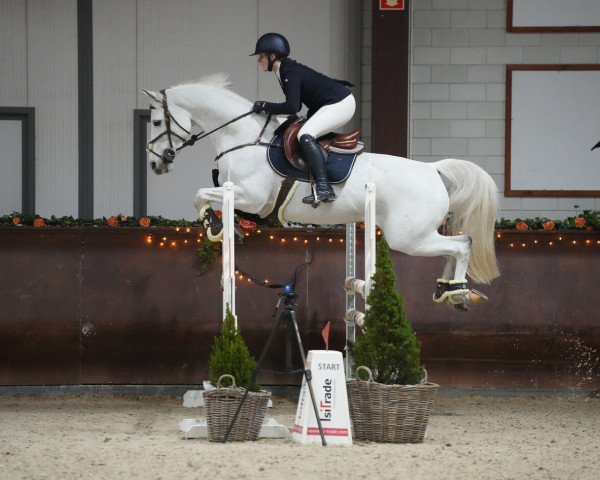 broodmare Uchill Lou Lou (Hanoverian, 2011, from Ustinov)
