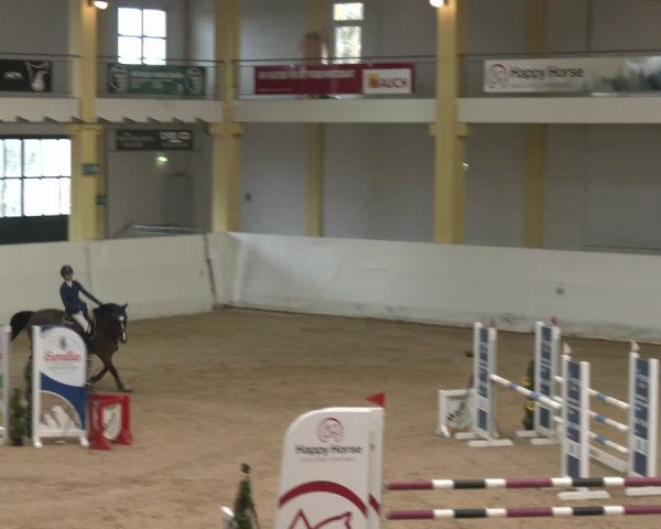 Reitturnier Stadl-Paura 2024