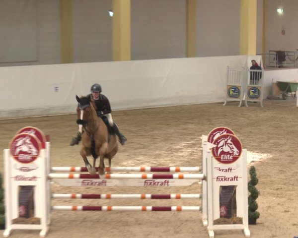 Reitturnier Stadl-Paura 2024