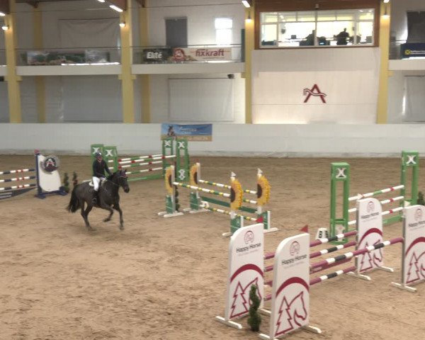 Reitturnier Stadl-Paura 2024